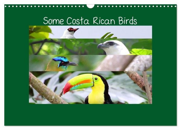 Produktbild: Some Costa Rican Birds (Wall Calendar 2026 DIN A3 landscape), CALVENDO 12 Month Wall Calendar