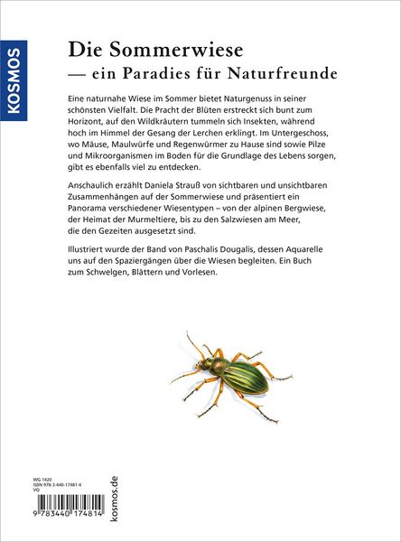 Produktbild: Sommerwiese