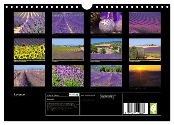 Produktbild: Lavendel (Wandkalender 2026 DIN A4 quer), CALVENDO Monatskalender