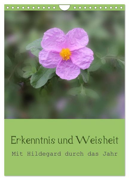 Produktbild: Erkenntnis und Weisheit - Hildegard von Bingen (Wandkalender 2026 DIN A4 hoch), CALVENDO Monatskalender