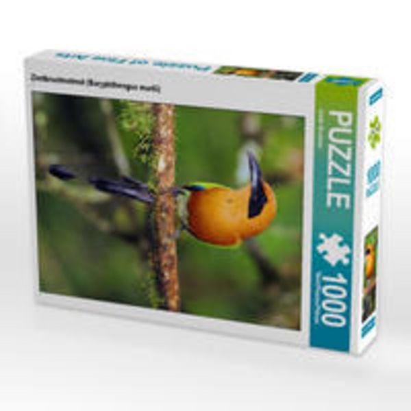 CALVENDO Puzzle Zimtbrustmotmot (Baryphthengus martii) | 1000 Teile Lege-Größe 64x48cm Foto-Puzzle für glückliche Stunden