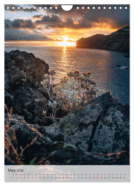 Produktbild: The Flower Island Madeira (Wall Calendar 2026 DIN A4 portrait), CALVENDO 12 Month Wall Calendar