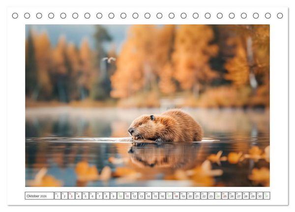 Produktbild: Naturparadies Wald (Tischkalender 2026 DIN A5 quer), CALVENDO Monatskalender