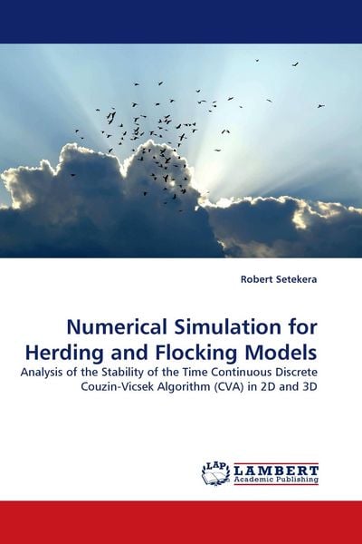 Produktbild: Numerical Simulation for Herding and Flocking Models