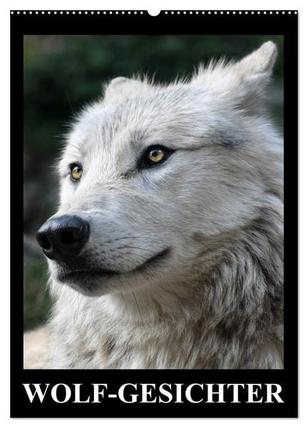 Produktbild: Wolf-Gesichter (Wandkalender 2026 DIN A2 hoch), CALVENDO Monatskalender