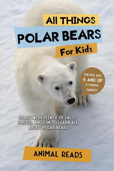 Produktbild: All Things Polar Bears For Kids