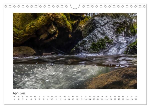 Produktbild: Unter Wasser in B&auml;chen und Fl&uuml;ssen (Wandkalender 2026 DIN A4 quer), CALVENDO Monatskalender