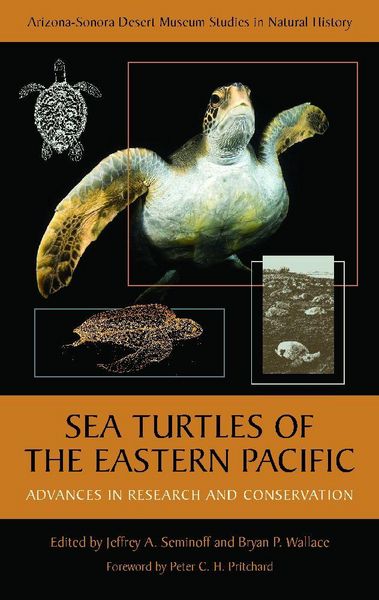 Produktbild: Sea Turtles of the Eastern Pacific
