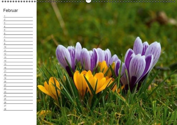 Produktbild: Ich denk an Dich ... Pers&ouml;nlicher Terminkalender (Wandkalender immerw&auml;hrend DIN A2 quer)