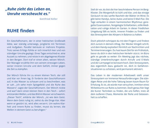 Produktbild: EnergieRAUSCH &ndash; Schluss mit Antriebslosigkeit, Stress und Sorgen