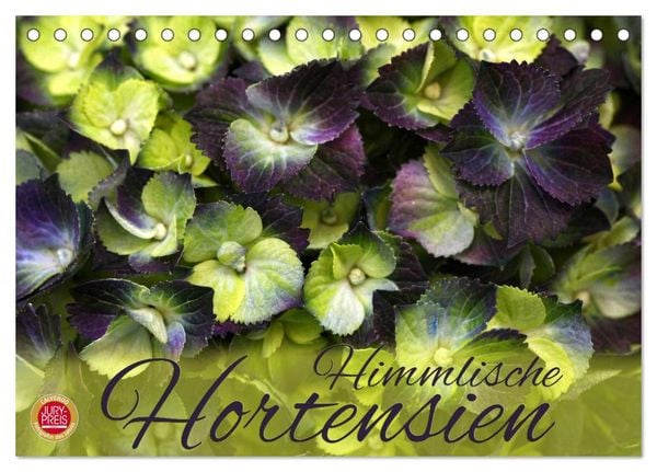 Produktbild: Himmlische Hortensien (Tischkalender 2026 DIN A5 quer), CALVENDO Monatskalender
