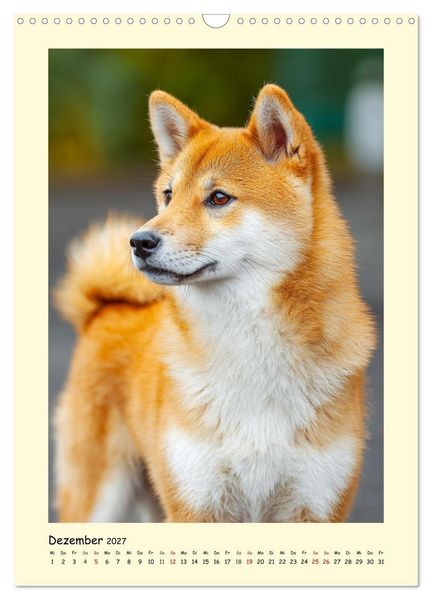 Produktbild: Shiba Inu Momente. Japans elegante Seelenhunde (Wandkalender 2027 DIN A3 hoch), CALVENDO Monatskalender