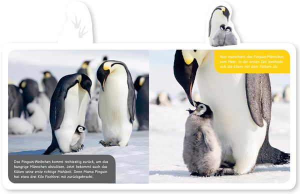 Produktbild: Der Pinguin