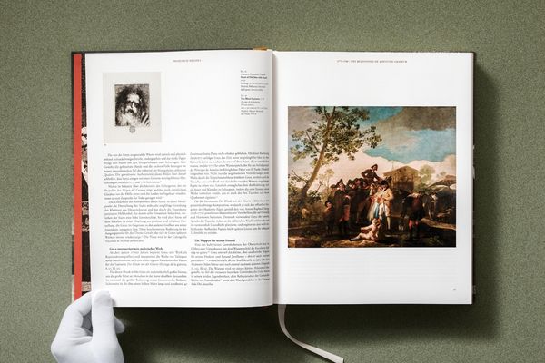Produktbild: Goya