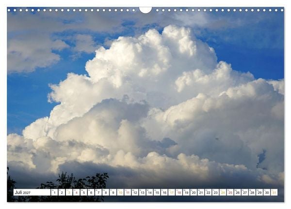 Produktbild: 12 Monate Natur (Wandkalender 2027 DIN A3 quer), CALVENDO Monatskalender