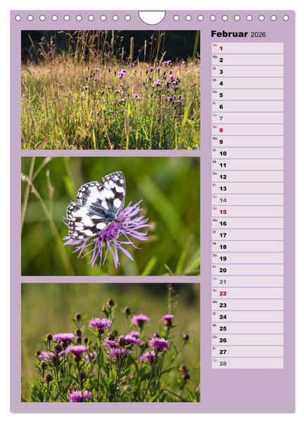 Produktbild: Farbenzauber, bunte Wiesen und bunte Falter (Wandkalender 2026 DIN A4 hoch), CALVENDO Monatskalender