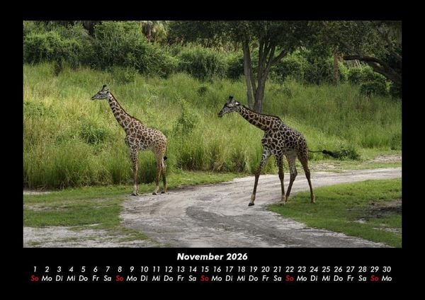 Produktbild: Welt der Tiere 2026 Fotokalender DIN A3