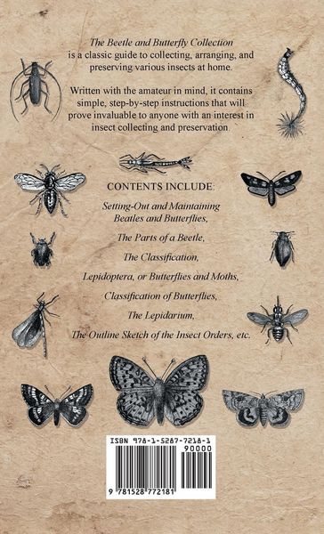 Produktbild: Beetle and Butterfly Collection - A Guide to Collecting, Arranging and Preserving Insects at Home