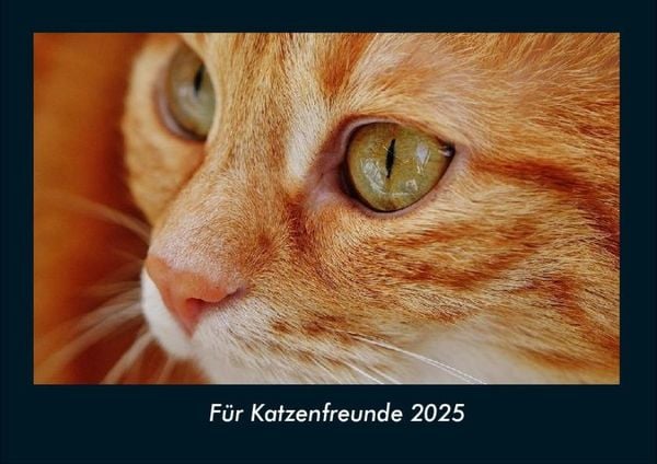 Produktbild: F&uuml;r Katzenfreunde 2025 Fotokalender DIN A4