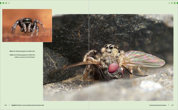 Produktbild: Extreme Wildlife-Makrofotografie