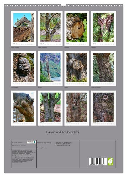 Produktbild: B&auml;ume und ihre Gesichter (hochwertiger Premium Wandkalender 2026 DIN A2 hoch), Kunstdruck in Hochglanz