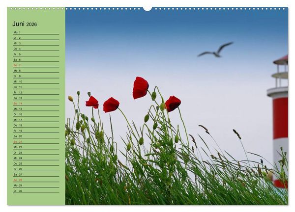Produktbild: Mohnblumen Tr&auml;ume (hochwertiger Premium Wandkalender 2026 DIN A2 quer), Kunstdruck in Hochglanz