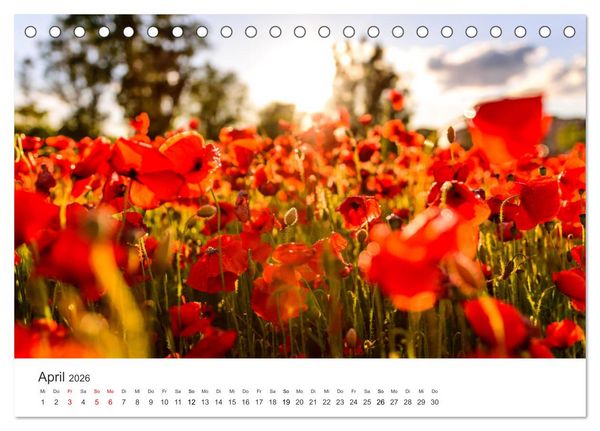 Produktbild: Spanien - ein Land zum Verlieben. (Tischkalender 2026 DIN A5 quer), CALVENDO Monatskalender