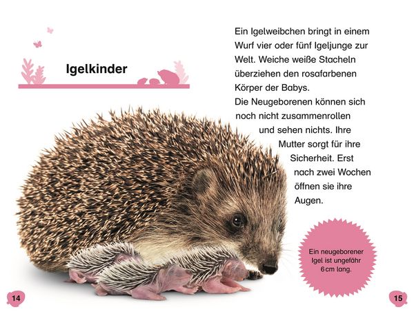 Produktbild: Superleser! Hallo, Igel!