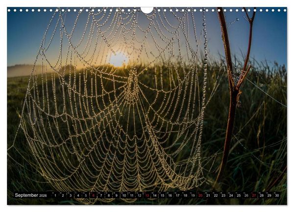 Produktbild: Immer wieder Sonnenschein (Wandkalender 2026 DIN A3 quer), CALVENDO Monatskalender