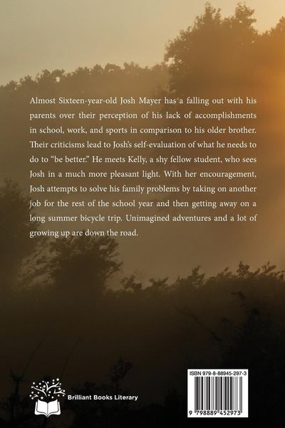 Produktbild: Out of the Shadows and into the Fire