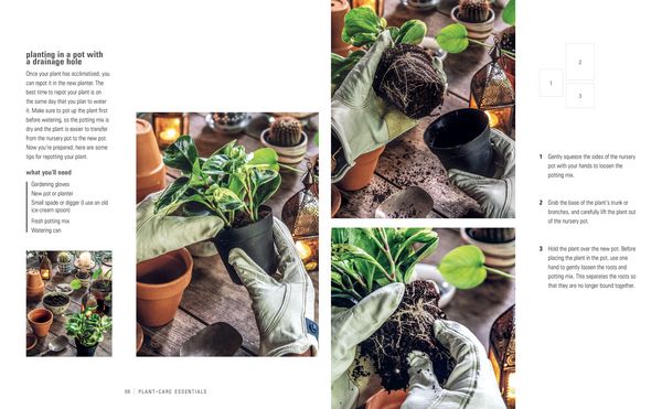 Produktbild: Wild Inside