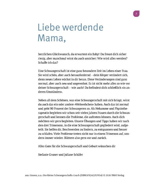 Produktbild: Der kleine Schwangerschafts-Coach