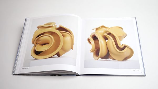 Produktbild: Tony Cragg: Points of View