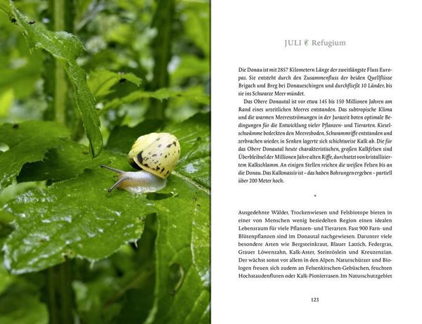 Produktbild: Das Glück wächst im Garten