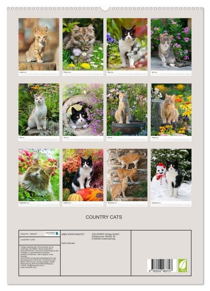 Produktbild: COUNTRY CATS (hochwertiger Premium Wandkalender 2026 DIN A2 hoch), Kunstdruck in Hochglanz