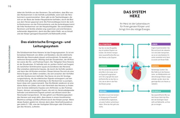Produktbild: Hallo, starkes Herz!