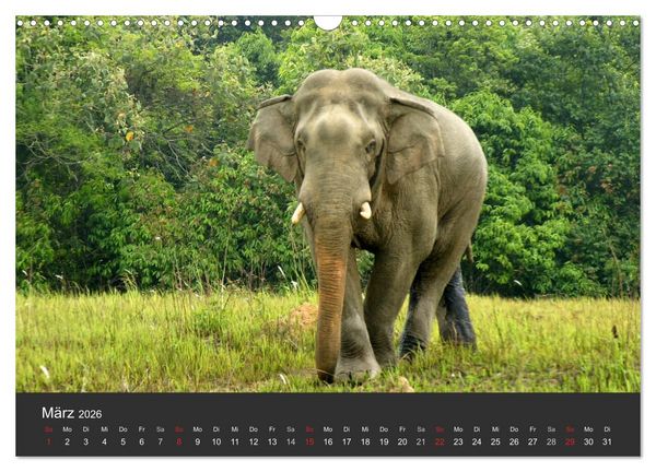 Produktbild: Thailand - exotisch und faszinierend (Wandkalender 2026 DIN A3 quer), CALVENDO Monatskalender