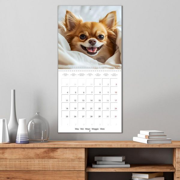 Produktbild: Cute Chihuahua (Wall Calendar 2026 12 &times; 12 Inch) CALVENDO 12 Month Wall Calendar