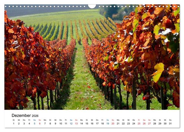 Produktbild: W&uuml;rttemberger Wein 2026 (Wandkalender 2026 DIN A3 quer), CALVENDO Monatskalender