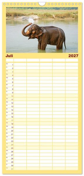 Produktbild: Familienplaner 2027 - Elefanten. Spa&szlig; am Wasser mit 5 Spalten (Wandkalender, 21 x 45 cm) CALVENDO
