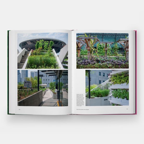 Produktbild: The Kitchen Garden
