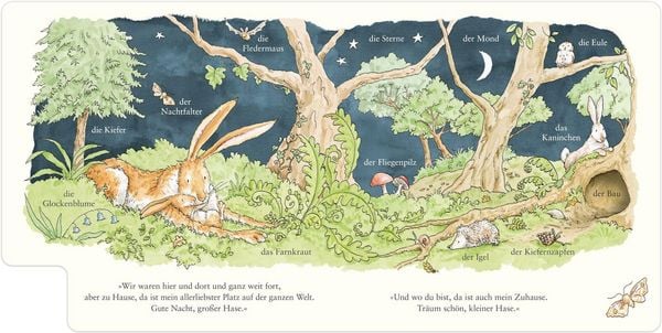 Produktbild: Wei&szlig;t du eigentlich, wie lieb ich dich hab? Wir entdecken die Natur