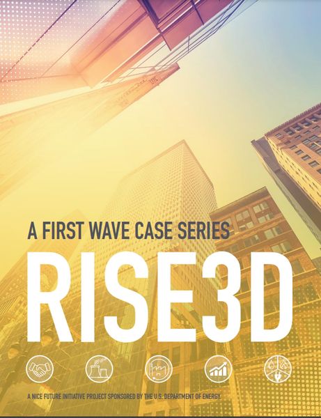 Produktbild: A First Wave Case Series: RISE 3D (RISE3D, #1)