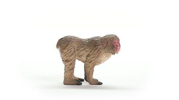 Produktbild: schleich&reg; Wild Life Japanmakak 5,5cm