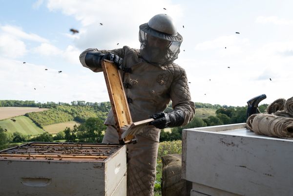 Produktbild: The Beekeeper (4K Ultra HD) (+ Blu-ray)