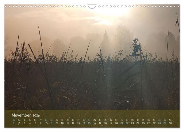 Produktbild: Moortr&auml;ume - Natursch&ouml;nheit in Bildern (Wandkalender 2026 DIN A3 quer), CALVENDO Monatskalender