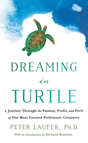 Produktbild: Dreaming in Turtle