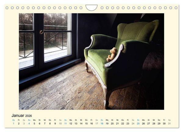 Produktbild: Herr B&auml;r urban explorer (Wandkalender 2026 DIN A4 quer), CALVENDO Monatskalender