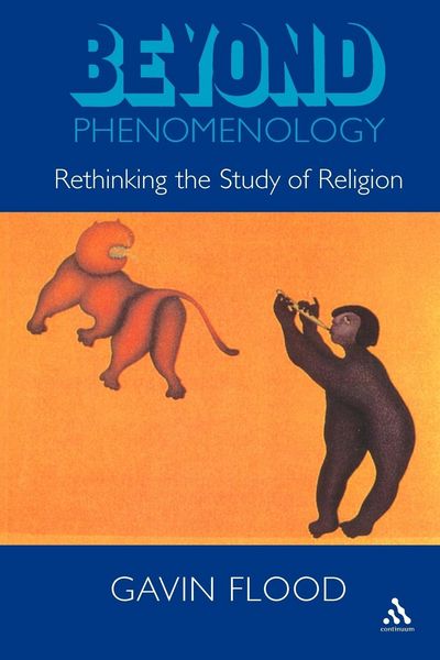 Produktbild: Beyond Phenomenology