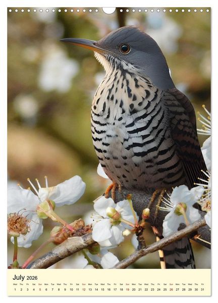 Produktbild: Shy forest birds (Wall Calendar 2026 DIN A3 portrait), CALVENDO 12 Month Wall Calendar